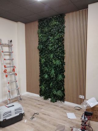 CARLOS - "EL MÁNITAS RÁPIDO"