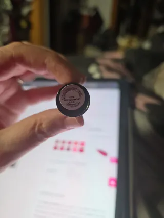 Barras de labios Mary Kay