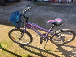 Bicicleta Morada Megamo