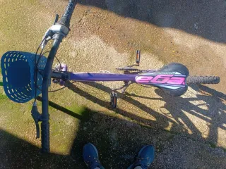 Bicicleta Morada Megamo