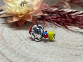 Charms Princesas Disney