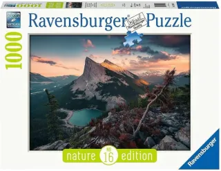 Puzzle Ravensburger 1000 Piezas