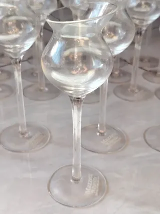 24 Calici degustazione Mazzetti d'Altavilla