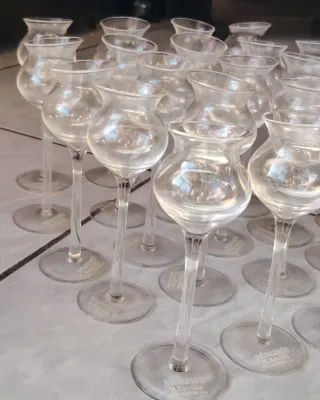 24 Calici degustazione Mazzetti d'Altavilla