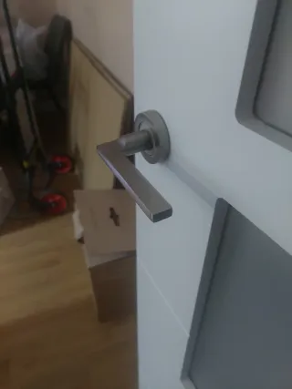 Pomo de puerta plateado