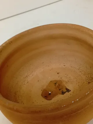 Ciotola in terracotta beige