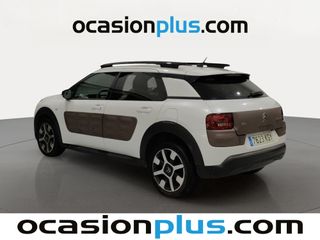 Citroen C4 Cactus PureTech 110 S&S Shine 81 kW (110 CV)
