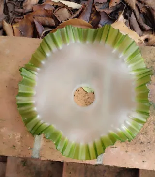 Portalampada dei primi del '900