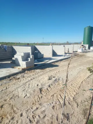 albañil profesional