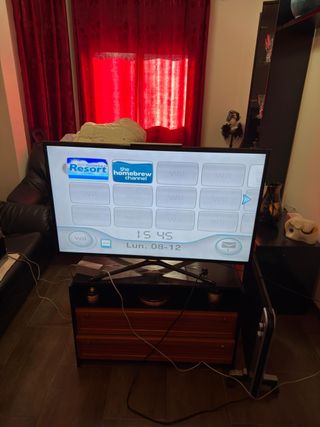 Nintendo Wii + Accesorios