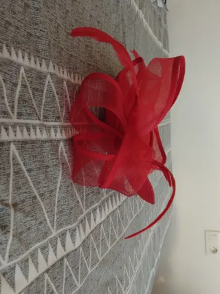 Pamela roja con plumas