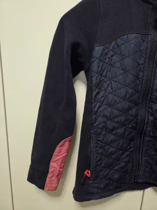 Chaqueta de equitación acolchada azul marino