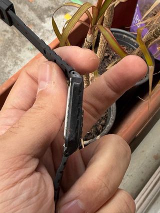 Casio CA 61W Calculadora Reloj