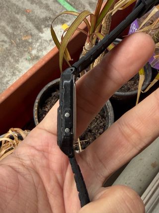 Casio CA 61W Calculadora Reloj