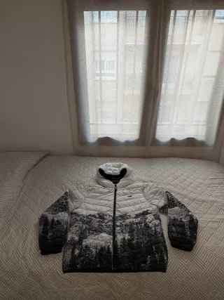 Cazadora Hollister Talla M