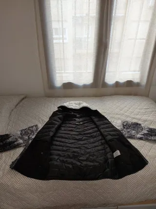 Cazadora Hollister Talla M