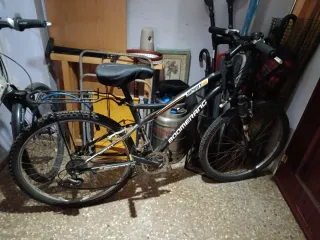 Bicicleta Montaña Boomerang Spirit