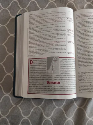 Biblia de estudio Thomson.