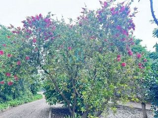 Casa rural en venta en Mestral en Reus