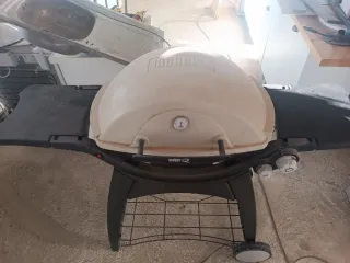 Barbacoa Weber Q