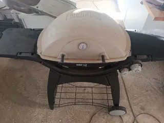 Barbacoa Weber Q