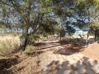 Chalet en venta en Yecla