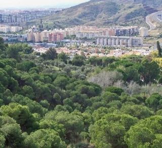Piso en venta en Barrio de Ciudad Jardín en Málaga