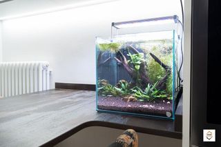 Piso en venta en Universidad San Francisco en Zaragoza