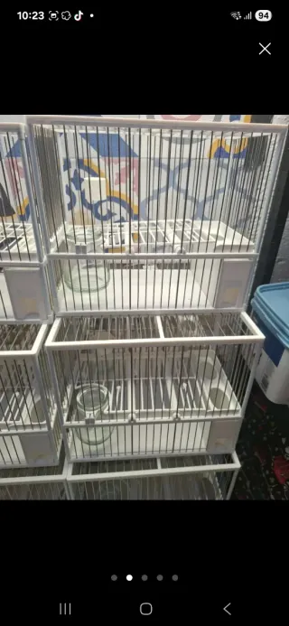 Confezione 10 gabbie bianche + 10 copertine