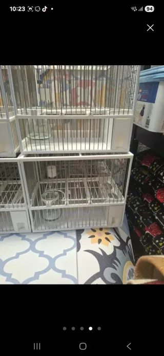 Confezione 10 gabbie bianche + 10 copertine