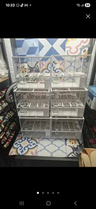 Confezione 10 gabbie bianche + 10 copertine