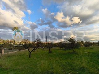Casa rural en venta en Son Amonda - Reis Catòlics en Inca