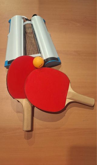 Juego de ping pong con red y pelotas