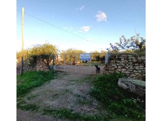 Terreno en venta en Este en Mérida