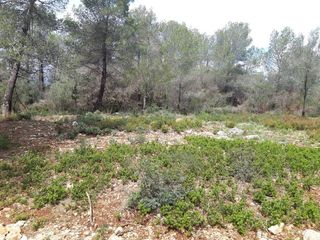 Casa rural en venta en Subirats