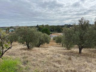 Chalet en venta en Carlota (La)