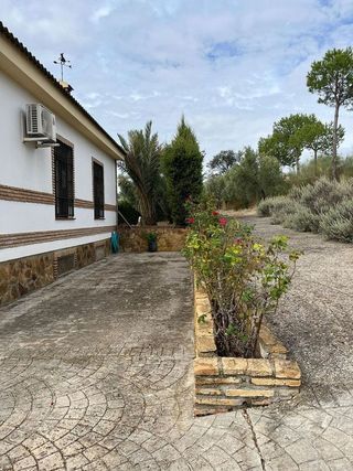 Chalet en venta en Carlota (La)
