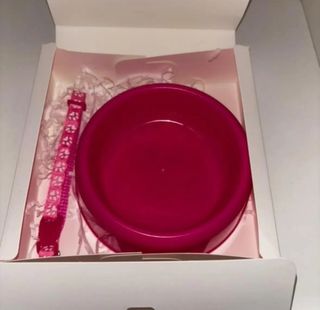 Cajita pequeña canina