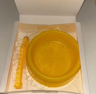 Cajita pequeña canina