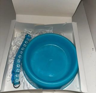 Cajita pequeña canina