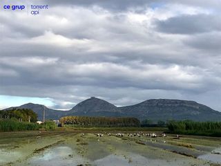 Piso en venta en Torroella de Montgrí pueblo en Torroella de Montgrí