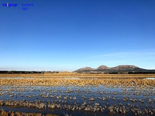 Piso en venta en Torroella de Montgrí pueblo en Torroella de Montgrí