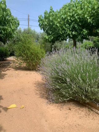 Chalet en venta en Hellín