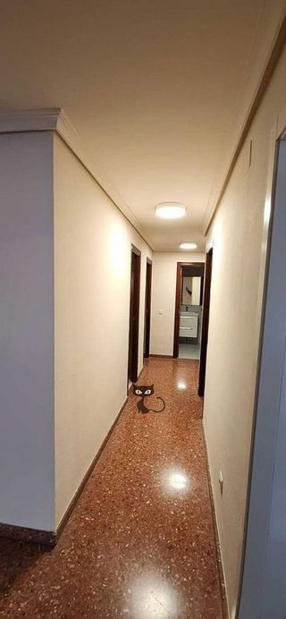 Piso en alquiler en El Grau en Valencia