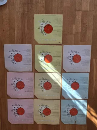 Pack 10 discos vinilo La felicidad es...