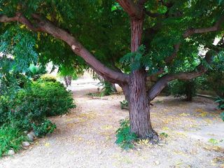 Chalet en venta en Almacelles