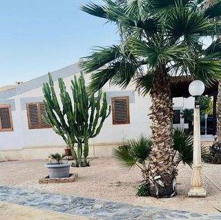Chalet en venta en La Algoda - Matola - El Pla en Elche