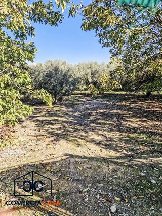 Cortijo en venta en Chauchina