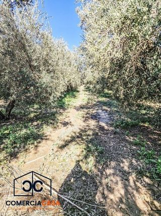 Cortijo en venta en Chauchina