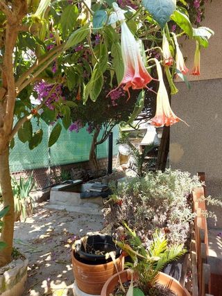 Piso en venta en Segur Platja en Calafell